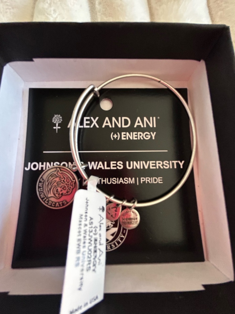Alex and Ani Silver Johnson & Wales University Expandable Charm Bracelet
